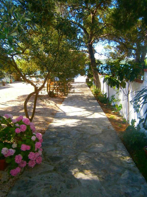 מלון פירובאץ Bed & Breakfast Pansion Rade מראה חיצוני תמונה