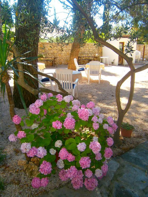 מלון פירובאץ Bed & Breakfast Pansion Rade מראה חיצוני תמונה